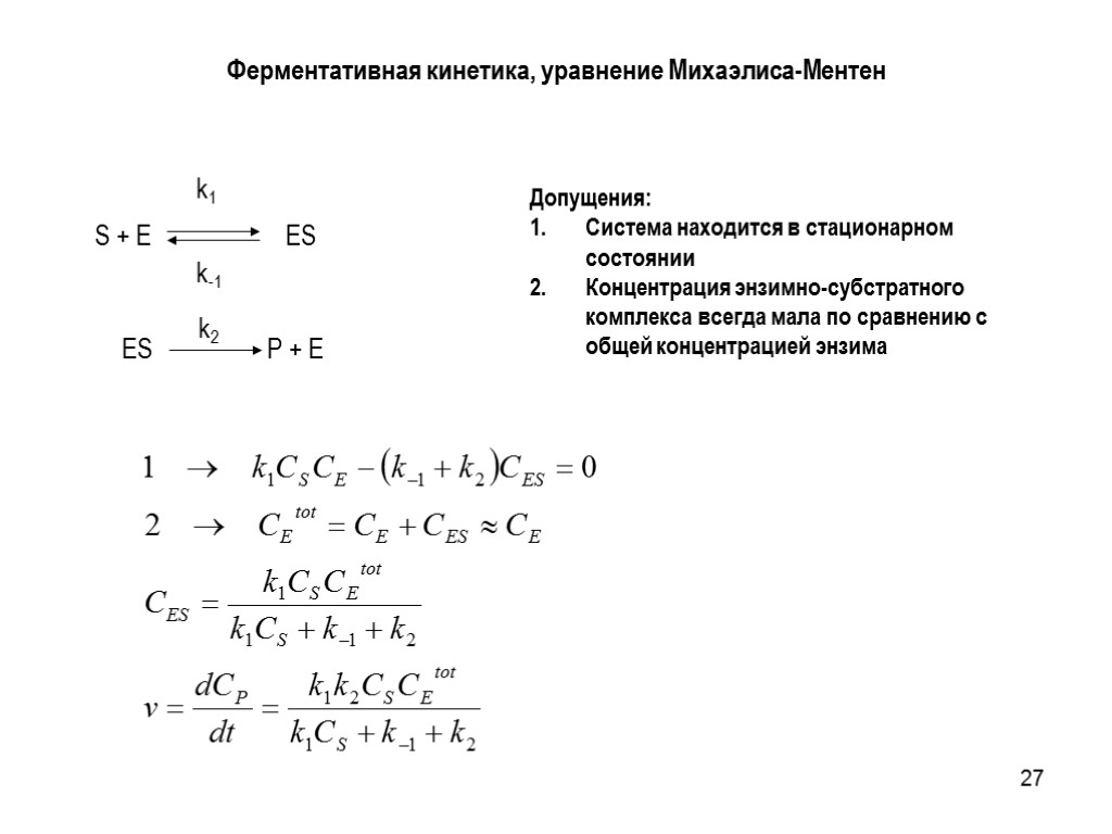 27 Ферментативная кинетика, уравнение Михаэлиса-Ментен Допущения: Система находится в стационарном состоянии Концентрация энзимно-субстратного комплекса